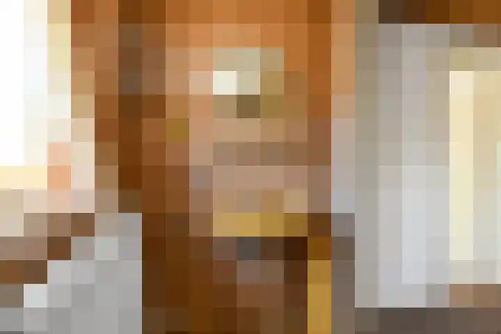 Johan de Wittstraat 23 Elst thumbnail 33