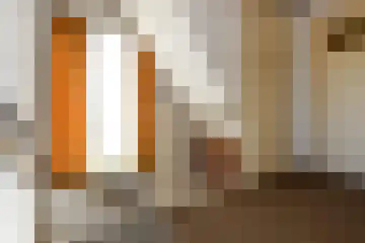 Johan de Wittstraat 23 Elst thumbnail 34