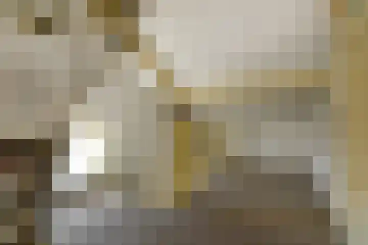 Johan de Wittstraat 23 Elst thumbnail 35