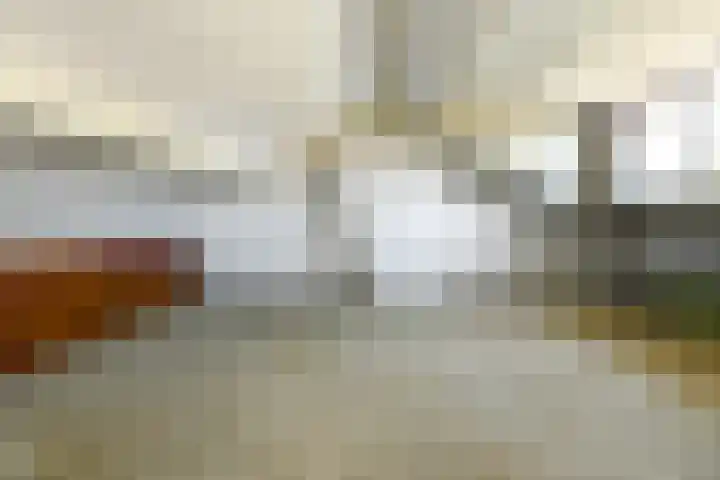 Johan de Wittstraat 23 Elst thumbnail 36