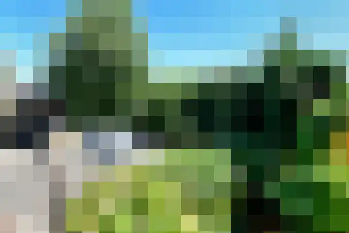 Johan de Wittstraat 23 Elst thumbnail 39