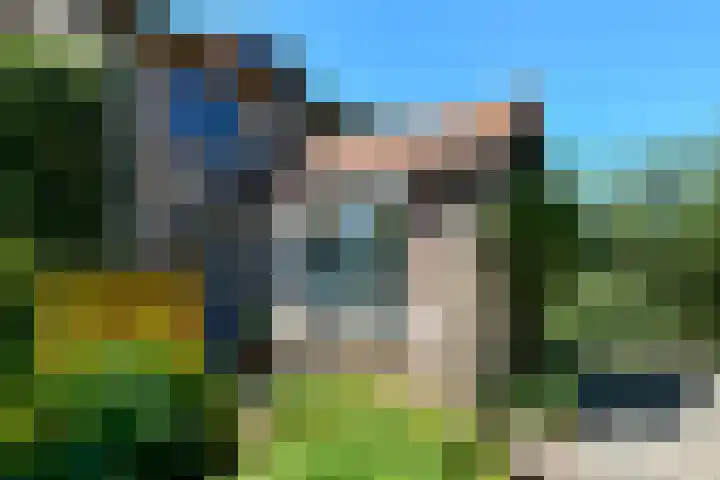 Johan de Wittstraat 23 Elst thumbnail 40