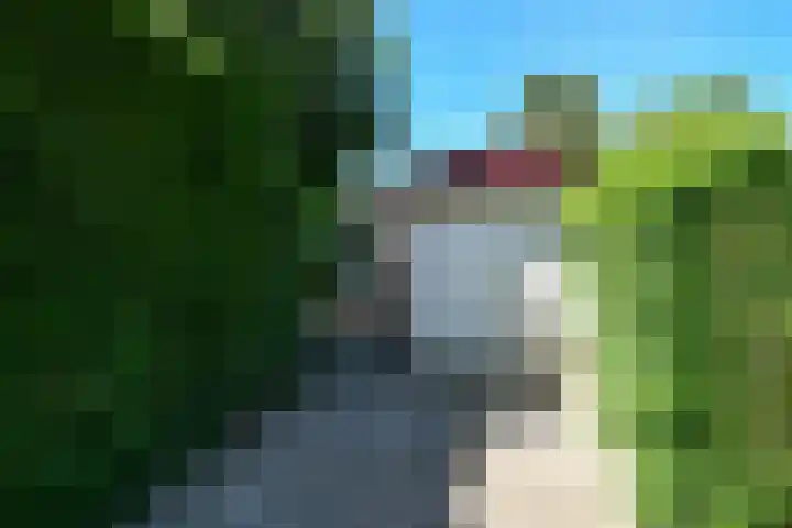 Johan de Wittstraat 23 Elst thumbnail 42