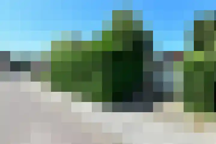 Johan de Wittstraat 23 Elst thumbnail 43