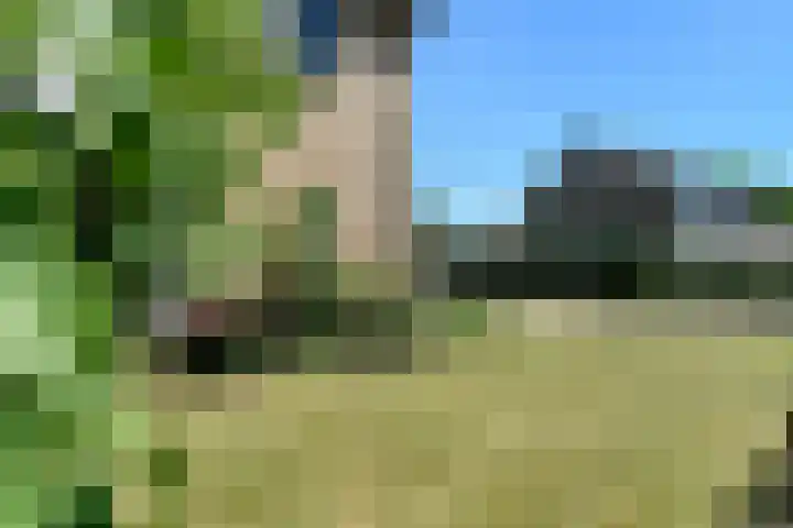 Johan de Wittstraat 23 Elst thumbnail 45