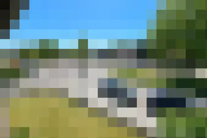 Johan de Wittstraat 23 Elst thumbnail 5