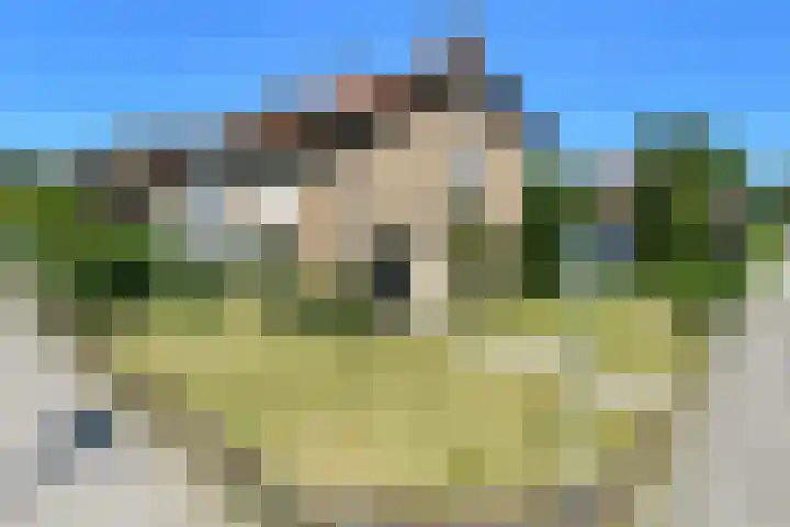 Johan de Wittstraat 23 Elst thumbnail 52