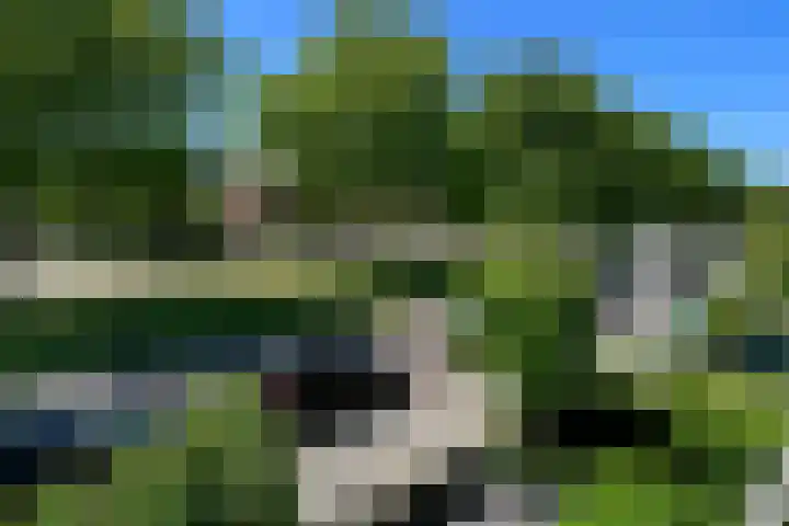 Johan de Wittstraat 23 Elst thumbnail 6