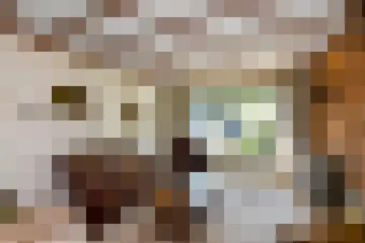 Johan de Wittstraat 23 Elst thumbnail 9