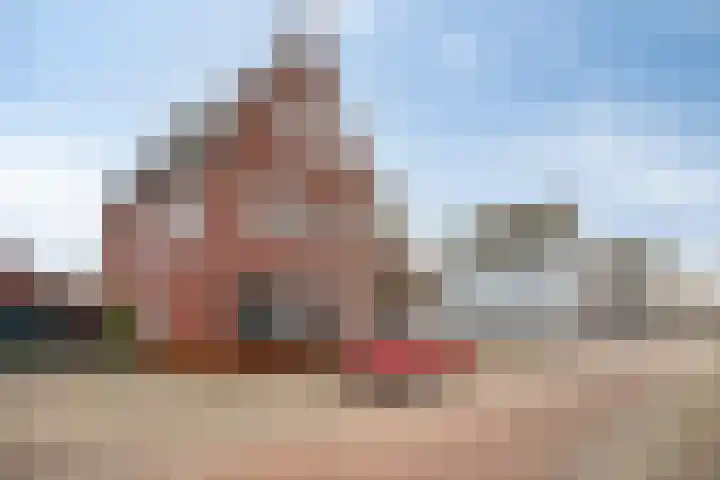 Johan de Wittstraat 25 Zaltbommel thumbnail 34