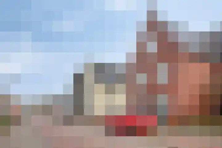 Johan de Wittstraat 25 Zaltbommel thumbnail 36