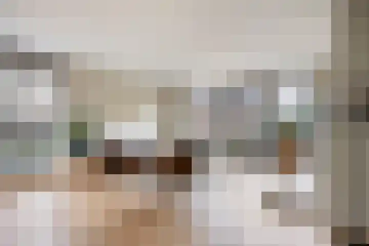 Johan de Wittstraat 25 Zaltbommel thumbnail 7