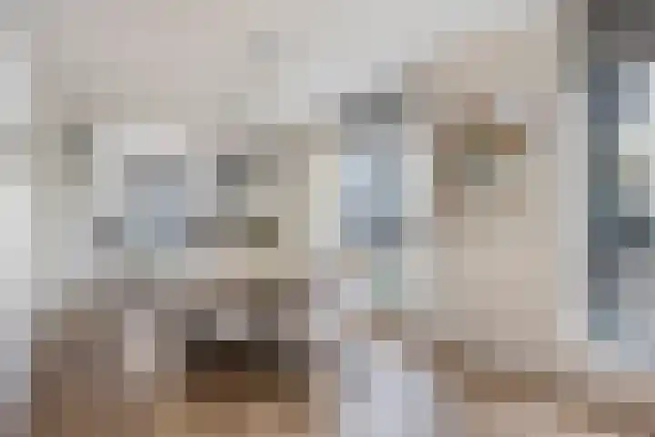 Johan de Wittstraat 25 Zaltbommel thumbnail 8
