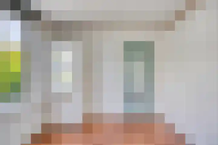 Johan de Wittstraat 30 Alblasserdam thumbnail 17