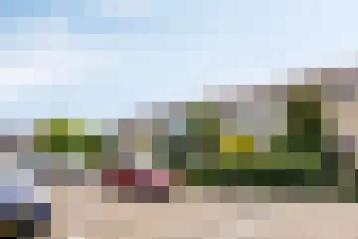 Johan de Wittstraat 30 Alblasserdam thumbnail 23