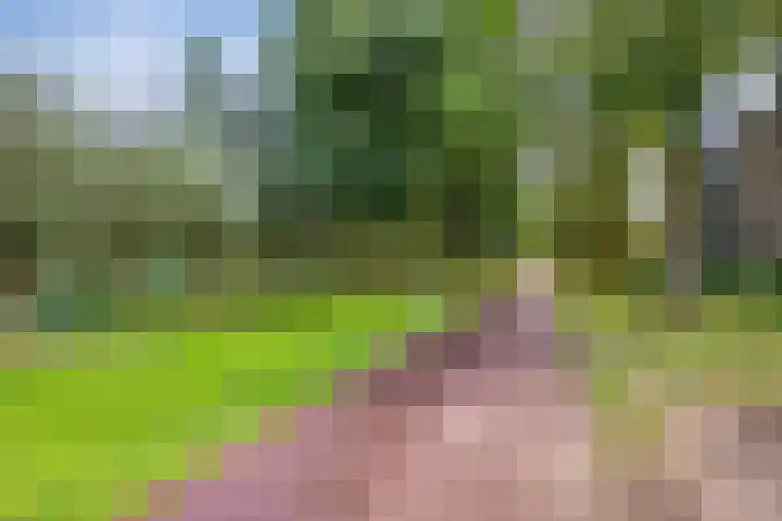 Johan de Wittstraat 30 Alblasserdam thumbnail 25