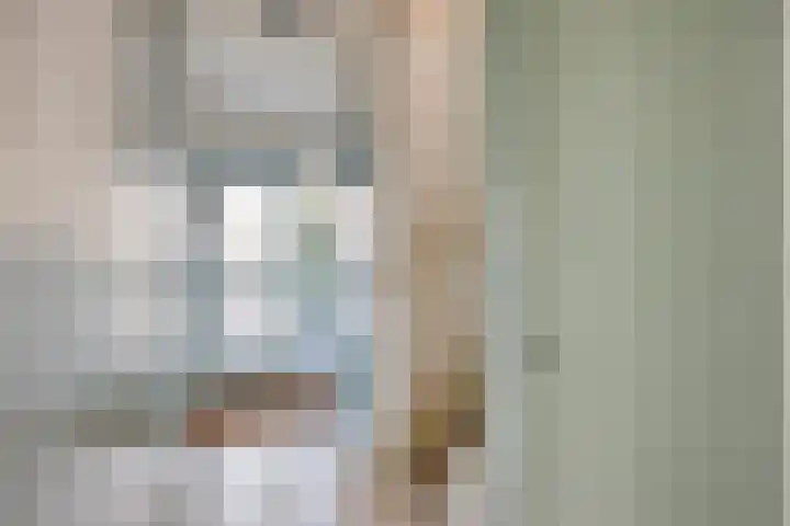Johan de Wittstraat 30 Alblasserdam thumbnail 5