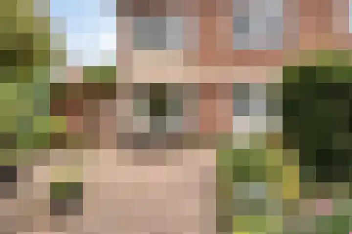 Johan de Wittstraat 30 Apeldoorn thumbnail 36
