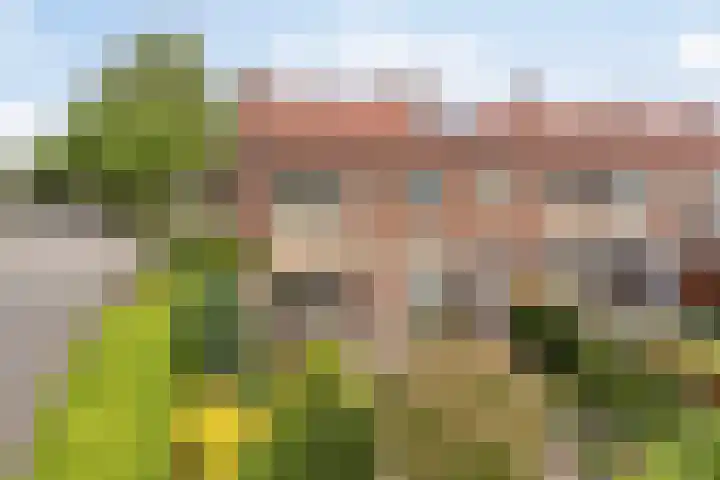 Johan de Wittstraat 30 Apeldoorn thumbnail 38