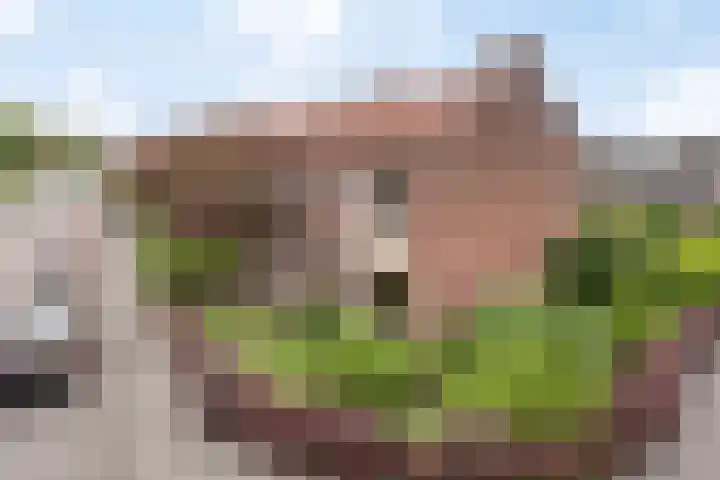 Johan de Wittstraat 30 Apeldoorn thumbnail 41