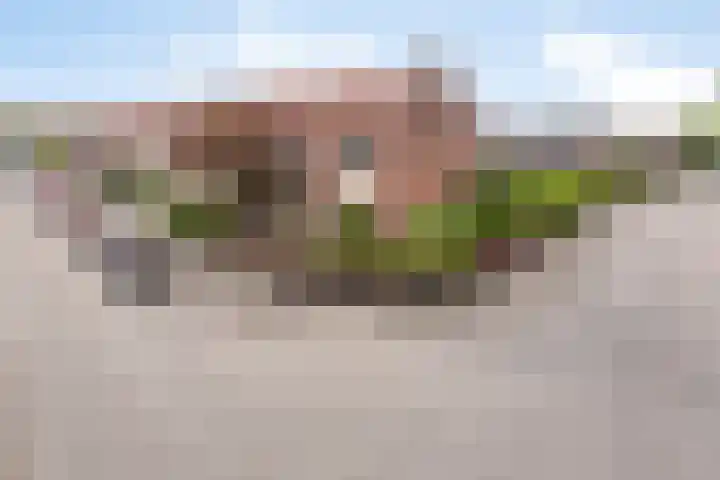 Johan de Wittstraat 30 Apeldoorn thumbnail 42