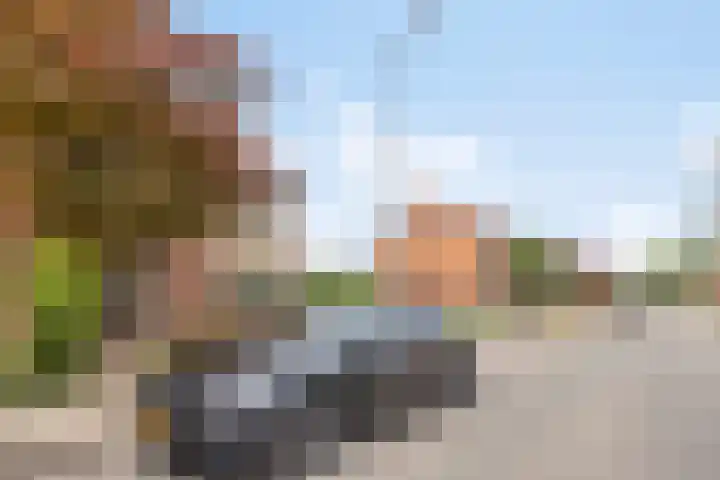 Johan de Wittstraat 30 Apeldoorn thumbnail 45