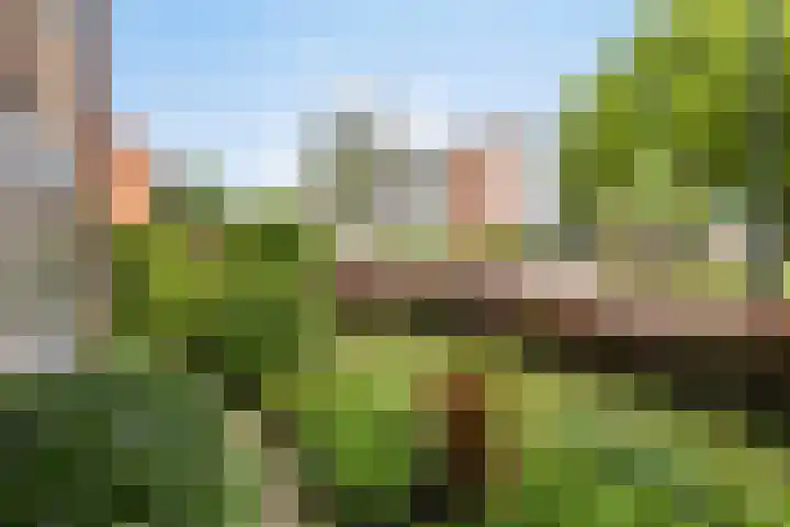 Johan de Wittstraat 30 Apeldoorn thumbnail 48