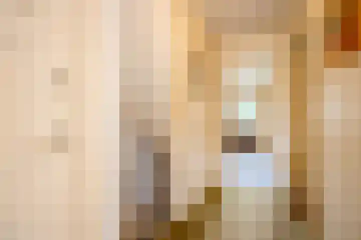 Johan de Wittstraat 31 Hilversum thumbnail 15
