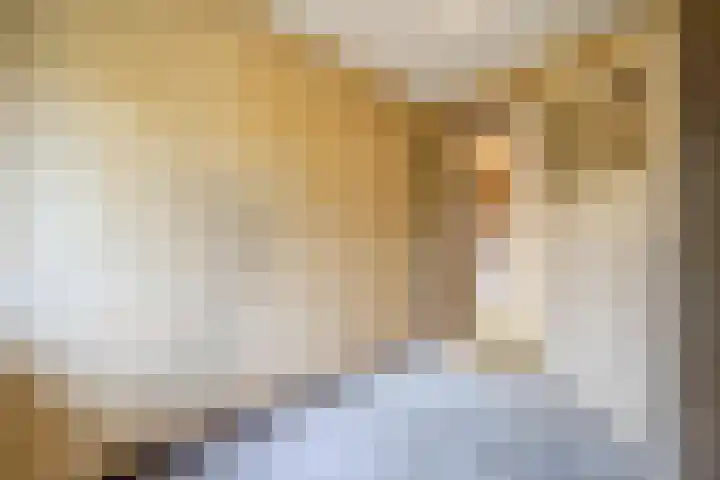 Johan de Wittstraat 31 Hilversum thumbnail 19