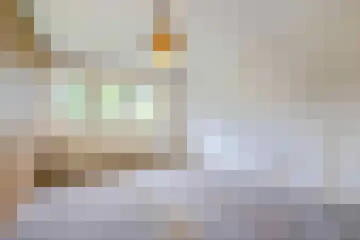 Johan de Wittstraat 31 Hilversum thumbnail 20