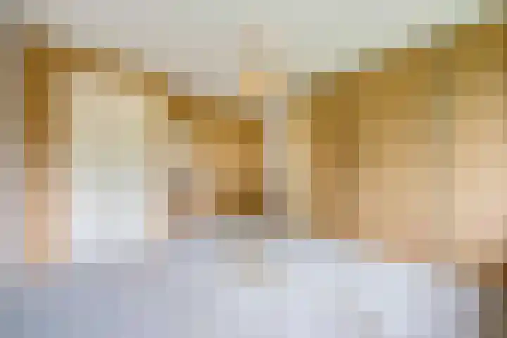 Johan de Wittstraat 31 Hilversum thumbnail 22