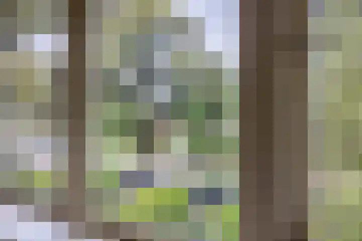 Johan de Wittstraat 31 Hilversum thumbnail 23