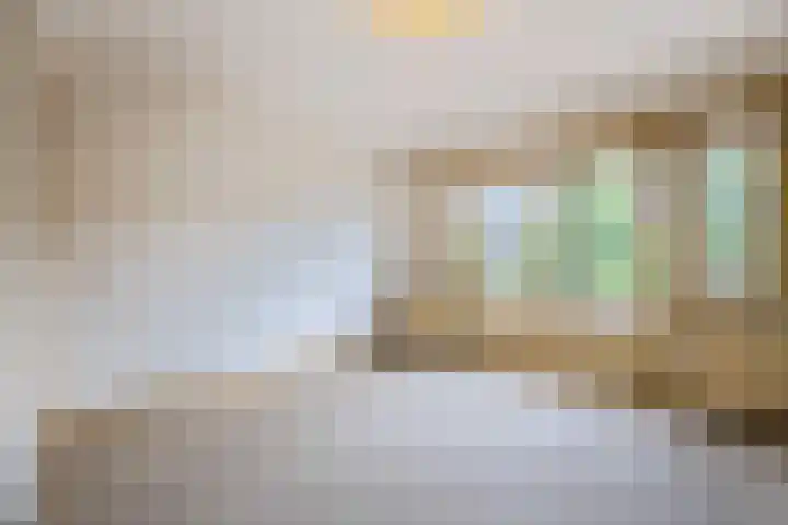 Johan de Wittstraat 31 Hilversum thumbnail 24