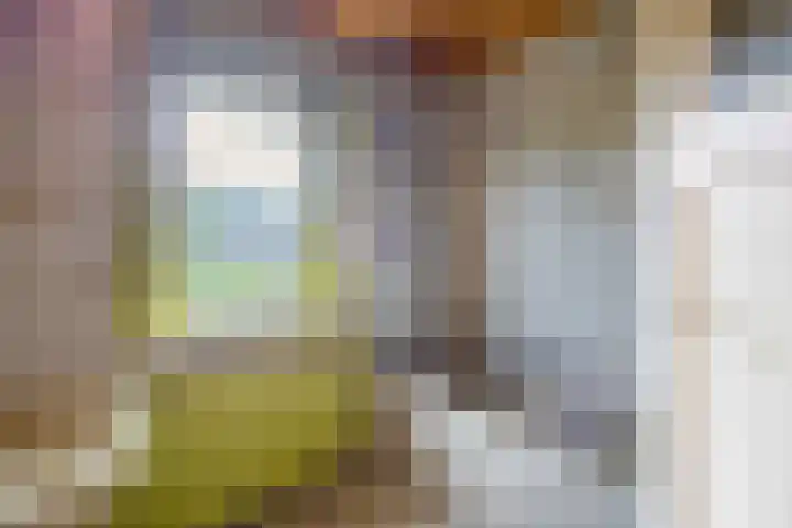 Johan de Wittstraat 31 Hilversum thumbnail 27