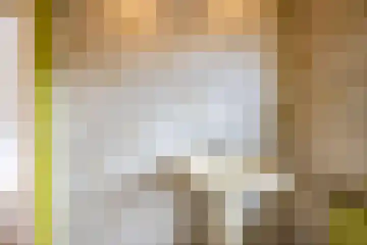 Johan de Wittstraat 31 Hilversum thumbnail 29