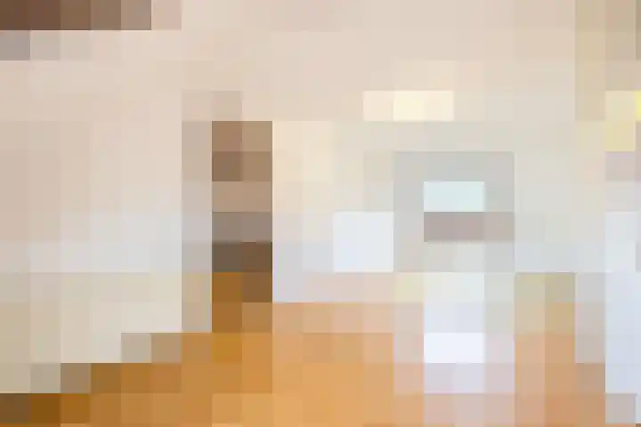 Johan de Wittstraat 31 Hilversum thumbnail 32