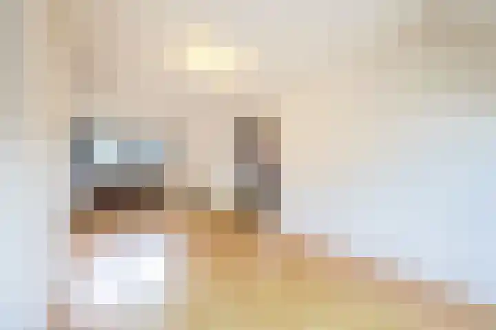Johan de Wittstraat 31 Hilversum thumbnail 33