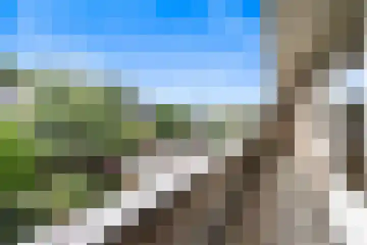 Johan de Wittstraat 31 Hilversum thumbnail 34