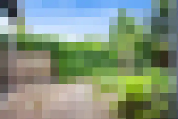 Johan de Wittstraat 31 Hilversum thumbnail 35