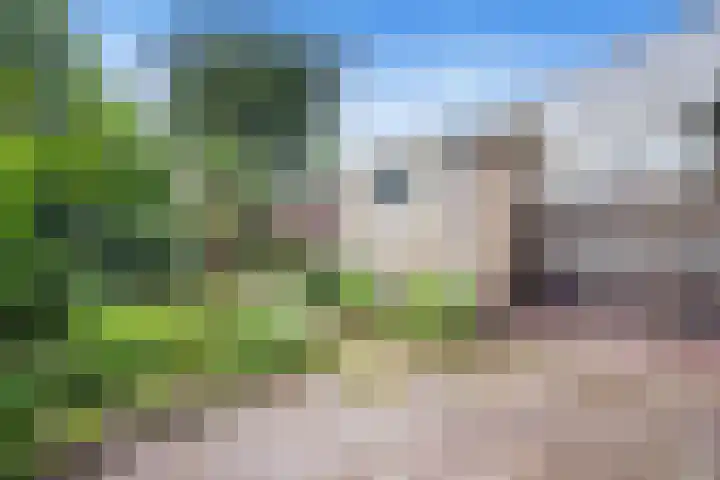 Johan de Wittstraat 31 Hilversum thumbnail 36