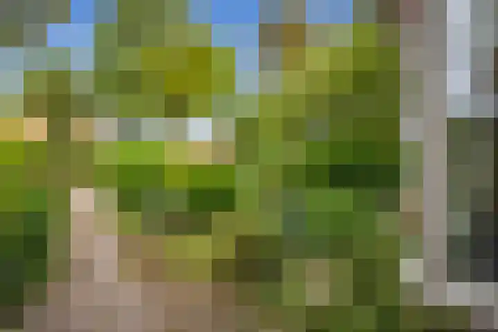Johan de Wittstraat 31 Hilversum thumbnail 4