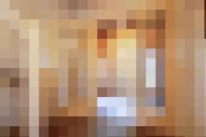 Johan de Wittstraat 31 Hilversum thumbnail 5