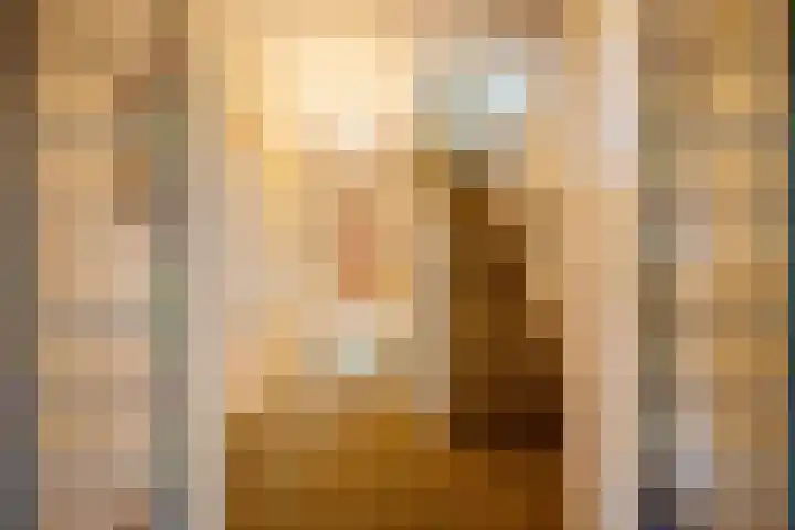 Johan de Wittstraat 31 Hilversum thumbnail 6
