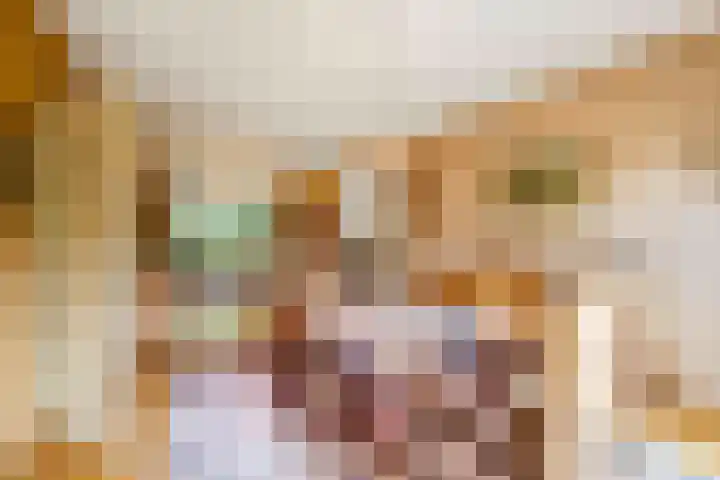 Johan de Wittstraat 31 Hilversum thumbnail 8