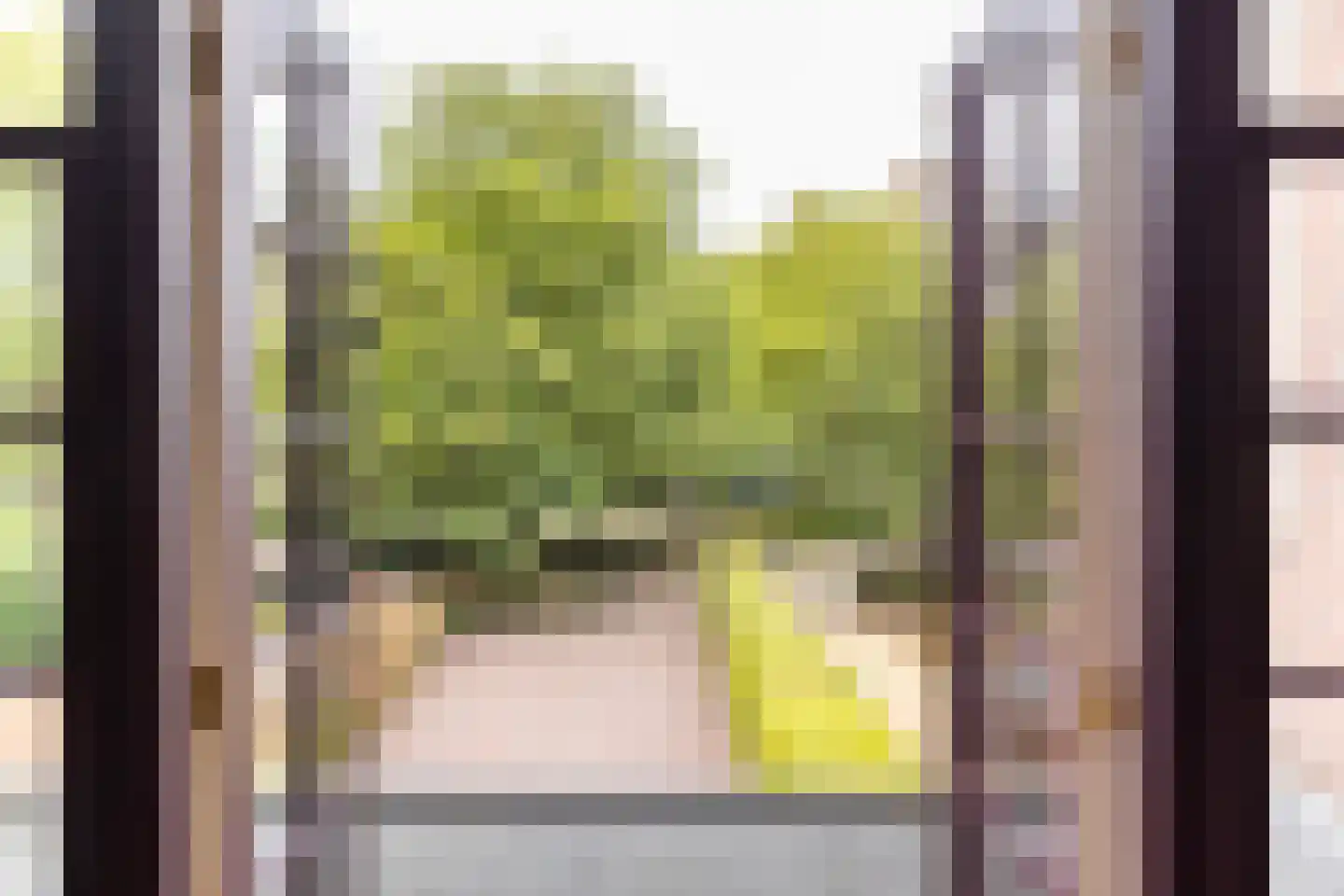 Johan de Wittstraat 33 Dordrecht thumbnail 15