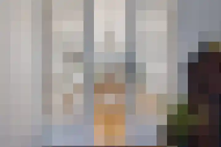 Johan de Wittstraat 33 Hilversum thumbnail 20