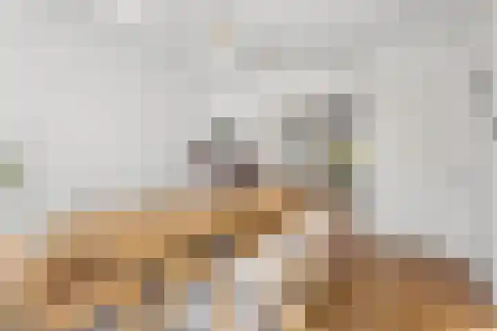 Johan de Wittstraat 33 Hilversum thumbnail 25