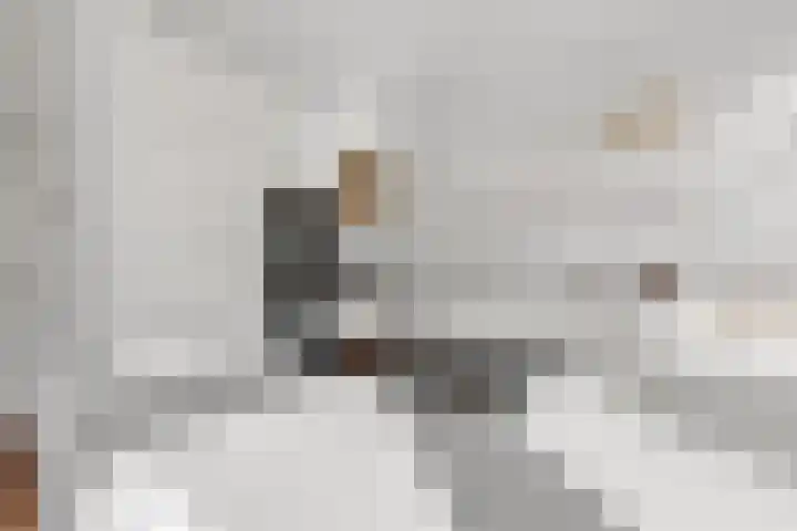 Johan de Wittstraat 33 Hilversum thumbnail 27