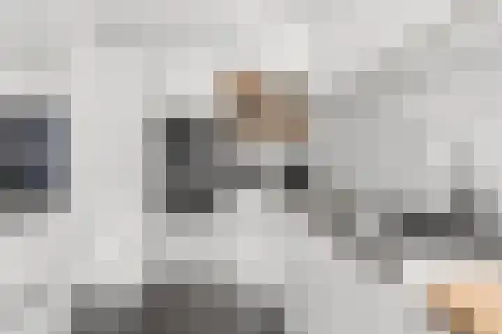 Johan de Wittstraat 33 Hilversum thumbnail 30