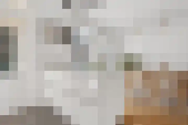Johan de Wittstraat 33 Hilversum thumbnail 31